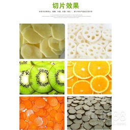 海南食品厂水果干切片设备全自动果蔬切片机 高效加工的低维护好帮手